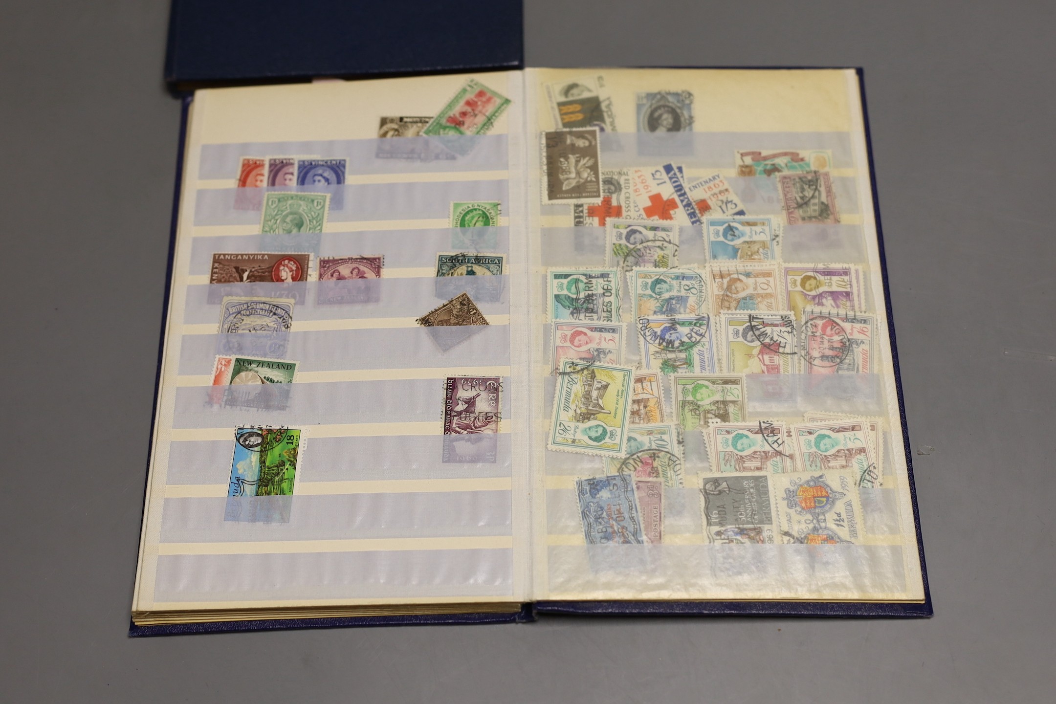 Two small stock books British Commonwealth, France mint stamps and packets